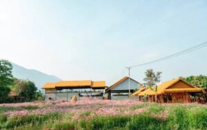 Rơm nhân tạo giá rẻ