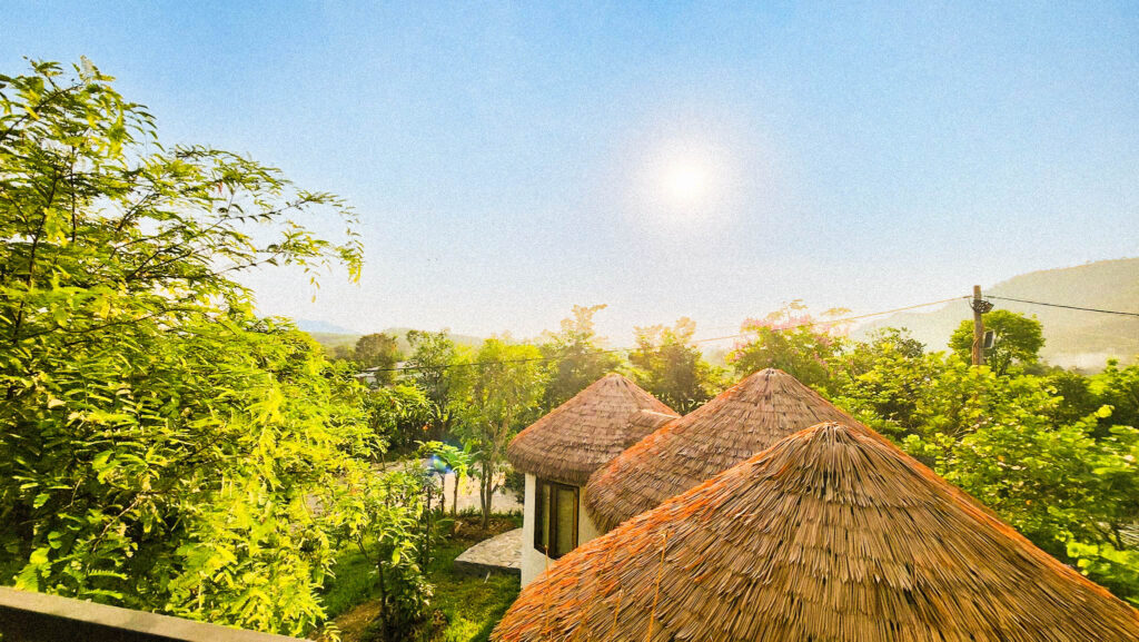 Những mái nhà được làm từ rơm nhân tạo nổi bật giữa rừng cây dưới ánh sáng ban mai.