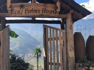 Thi công mái rơm nhân tạo tại Eco Palms House