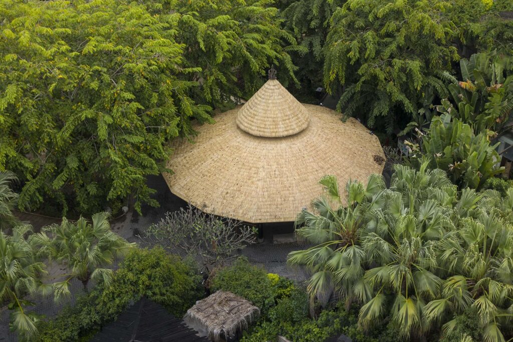 Mai rom nhan tao