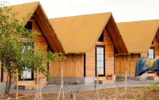 Homestay Lợp Rơm Nhân Tạo